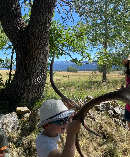 Enfant brandissant des bois de cerf sous un arbre