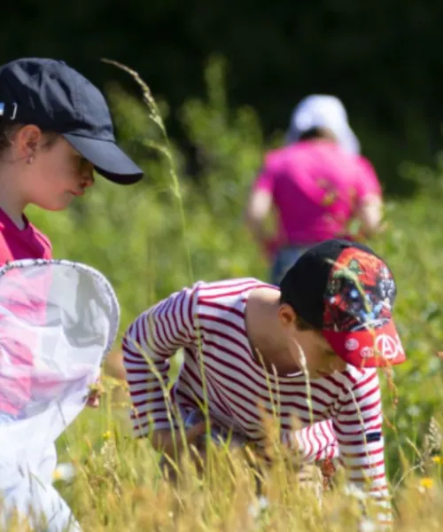 Enfants explorant une prairie fleurie avec leurs filets à papillons