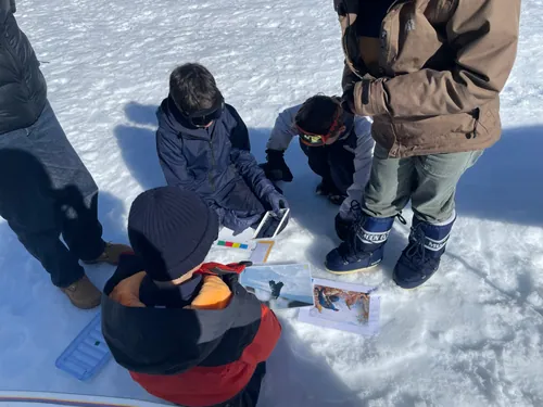 Enfants identifiant des traces d'animaux dans la neige